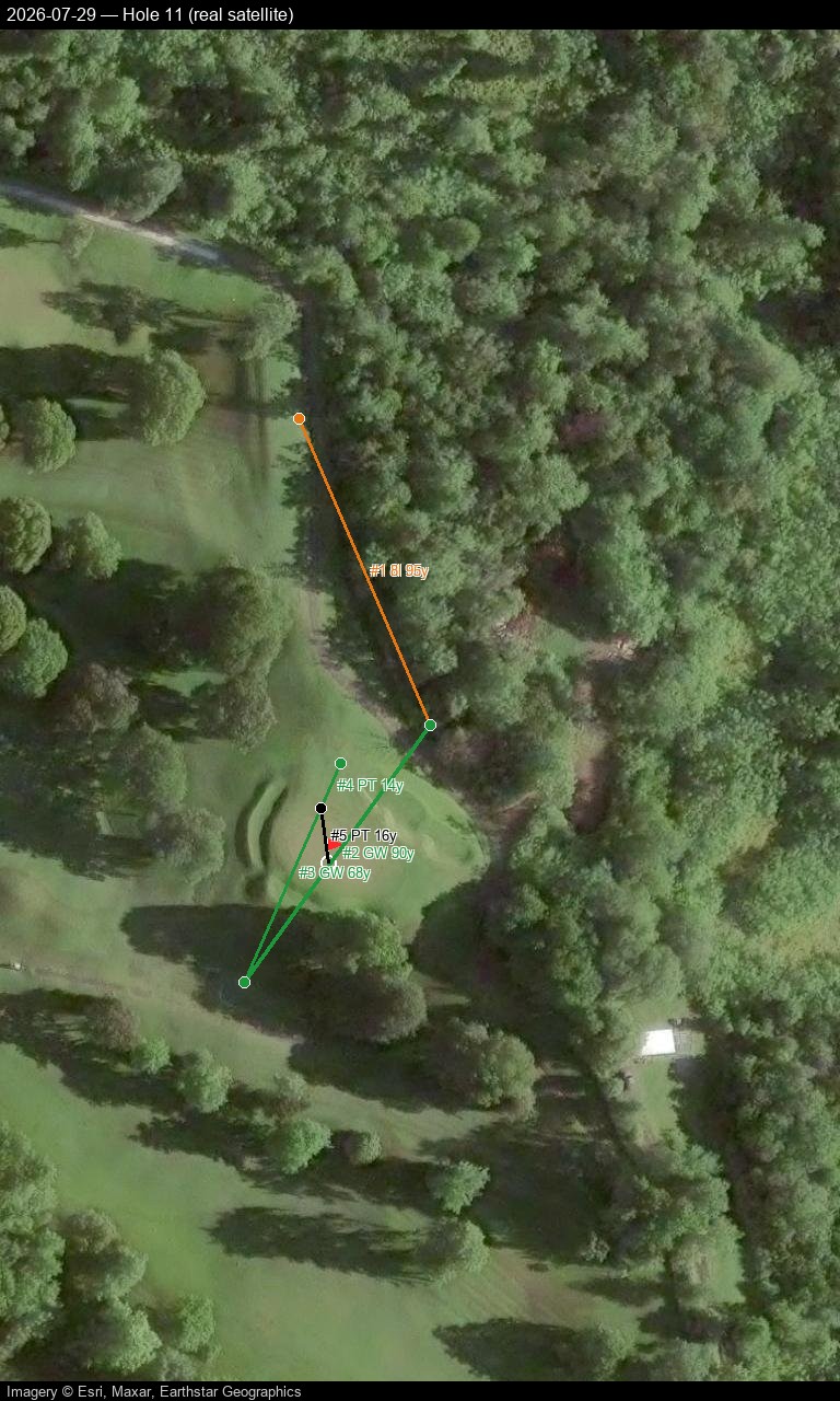 Hole 11, real satellite, 2026-07-29