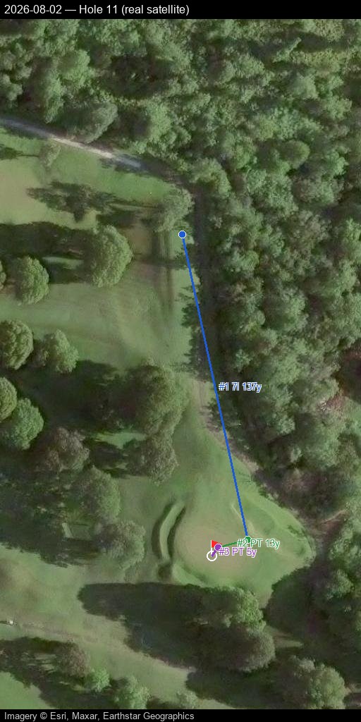Hole 11, real satellite, 2026-08-02